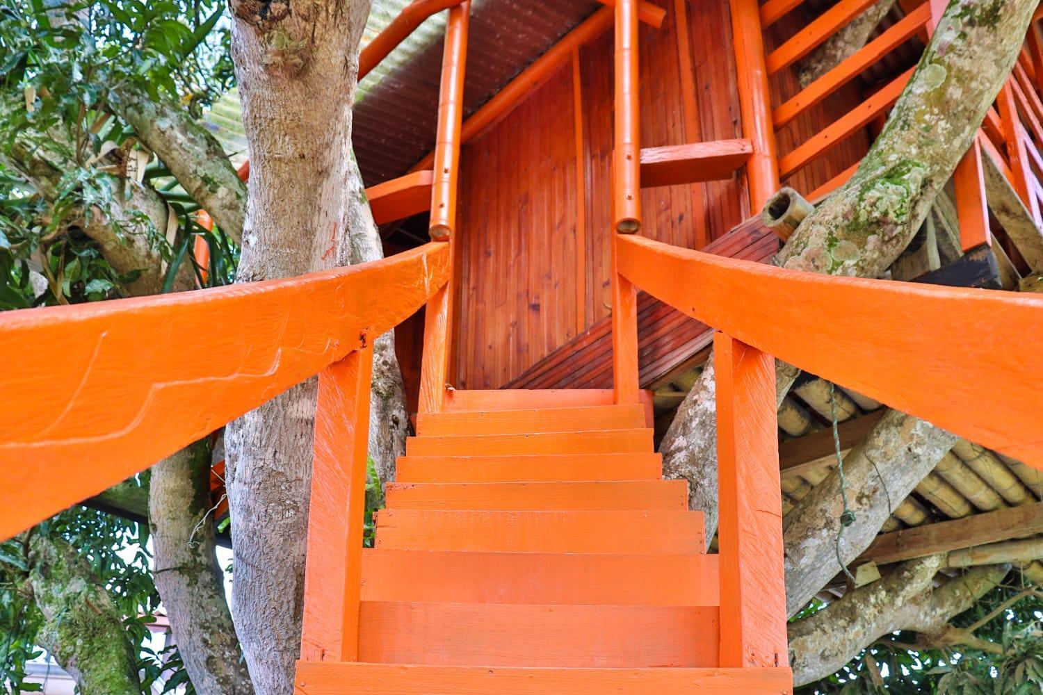 Finca Turistica Los Alpes Quimbaya Esterno foto