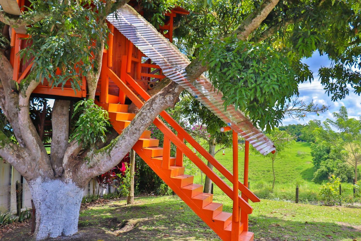 Finca Turistica Los Alpes Quimbaya Esterno foto