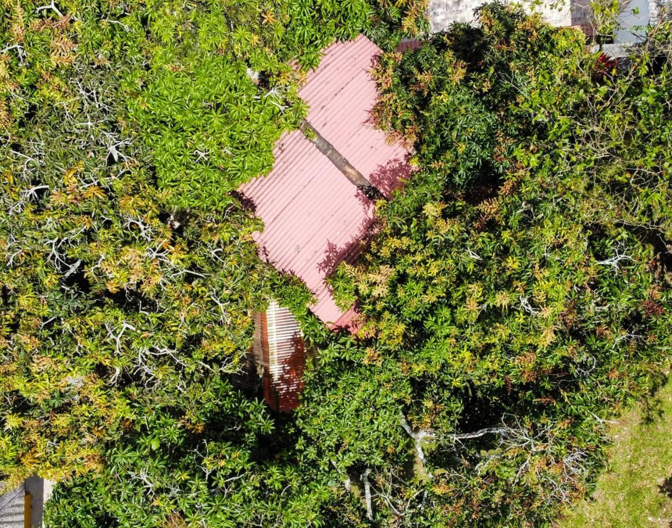 Finca Turistica Los Alpes Quimbaya Esterno foto